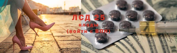 прущие грибы Алексин