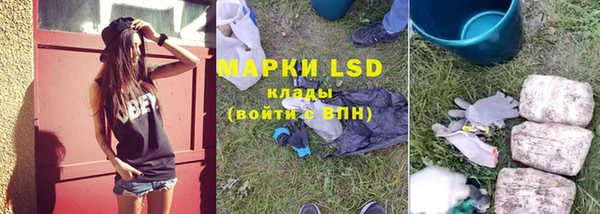 прущие грибы Алексин