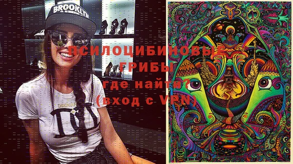 прущие грибы Алексин