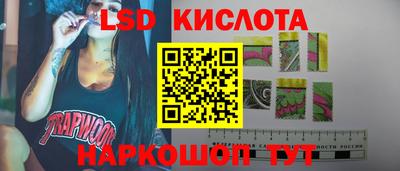 СК Кимры