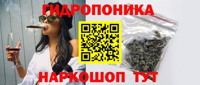 СК Кимры