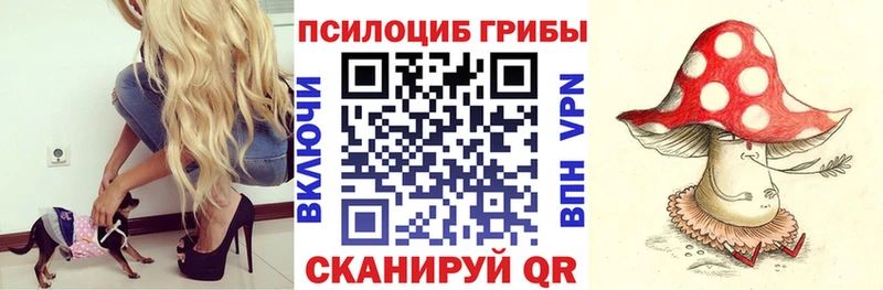 Псилоцибиновые грибы мухоморы  МЕГА зеркало  Клин 