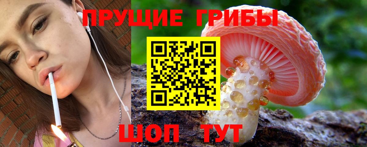 Клин  Псилоцибиновые грибы прущие грибы  Вход с VPN  Псилоцибиновые грибы GOLDEN TEACHER 